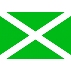 Флаг таможенных органов Российской Федерации (ФТС России)