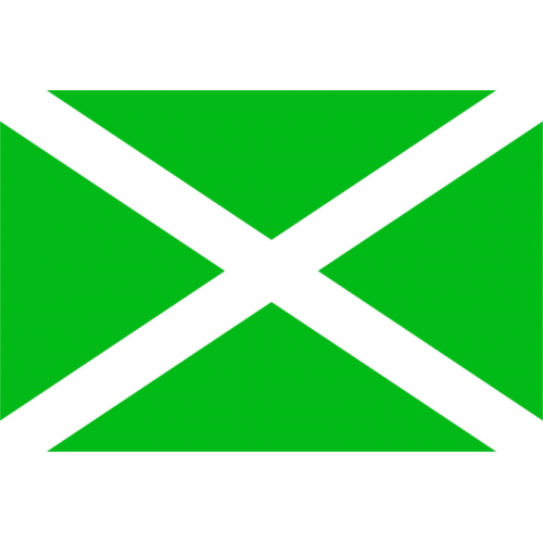 Флаг таможенных органов Российской Федерации (ФТС России)