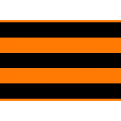 Георгиевский флаг